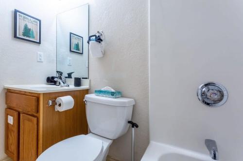 SASQUATCH Lodge D - image 2