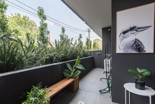 King bed Apt Study Homebush Sleeps 3 in Drummoyne