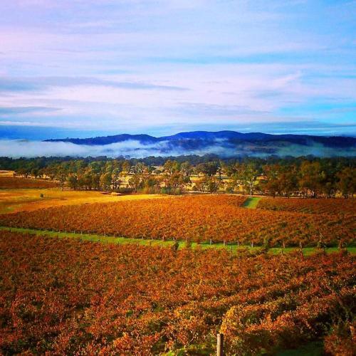 . 4 Bedroom Holiday House in Winery