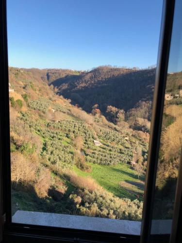 Surrounding environment, Il Castelletto Casa Vacanza in Poggio San Lorenzo