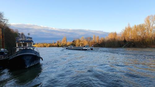 Навколишнє середовище, EXIGEHOME - Péniche 120 m2 en bord de Seine calme et verdoyant (EXIGEHOME - Peniche 120 m2 en bord de Seine calme et verdoyant) in Ля Порт Марлі