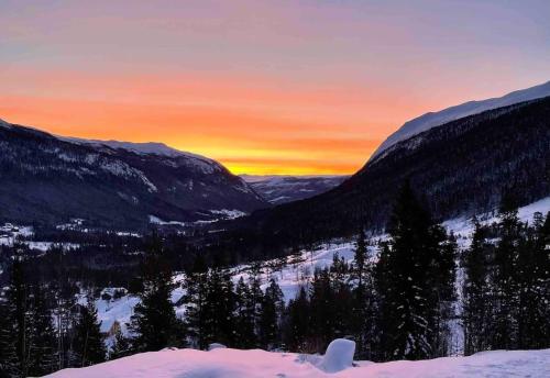 . Leilighet i Uvdal med nydelig utsikt
