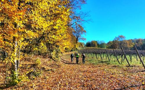 I sassi della PIAVE