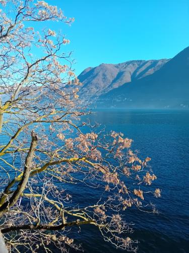 The Convo Lake Como