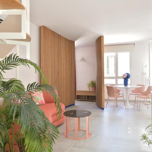 Penthouse Apartment