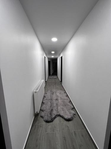 Előcsarnok, Dialex Doftana in Teșila