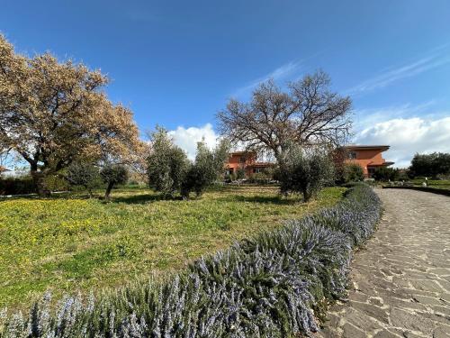 B&B Bee, Frascati (foto 3)