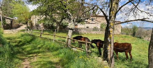 Domaine De Silhac