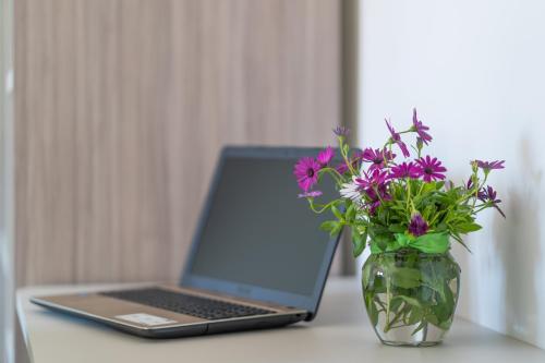 Villa La Pagaia Sorrento Coast Villa La Pagaia Sorrento Coast