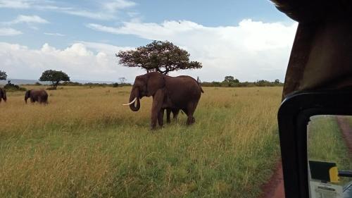 Luluka Guest House in Narok