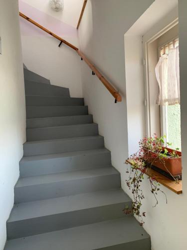 VIL'LAGUNA Apartment with view of Balaton in Sarvar