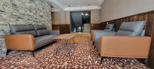 设施服务, Hotel Ushba in Mestia in 美思提亚