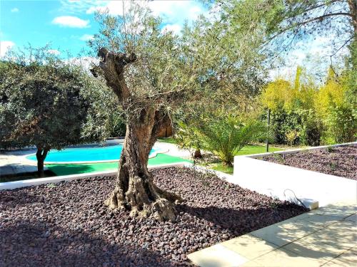 Villa de 6 chambres avec piscine privee jardin clos et wifi a Saint Bauzille de Montmel