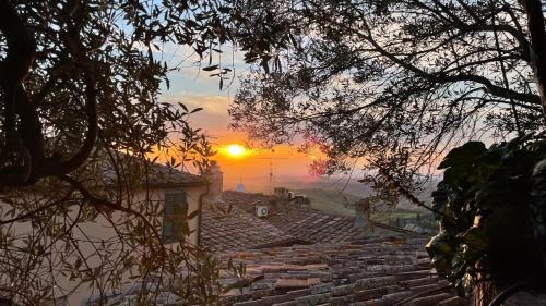 Il Giardino degli Ulivi