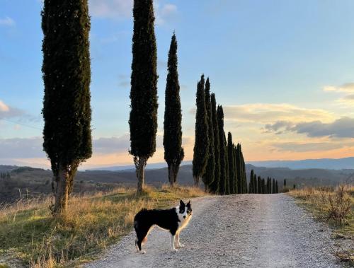 Il Giardino degli Ulivi