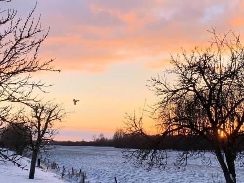 Holiday Home Countryside, Langbroek / Doorn