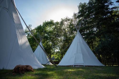 Außerhalb2 - Übernachten im Tipi