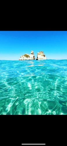 Regina Elena Regina Elena