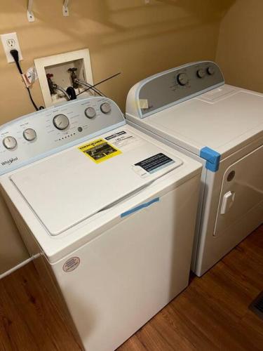 Historic Charmer, Pet-friendly