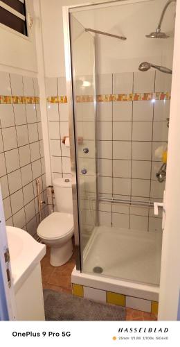 Appartement charmant à Rivière-Pilote - 30 m² avec terrasse - image 2