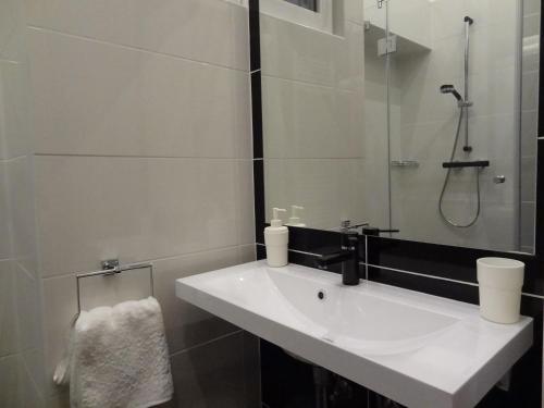 Erzsebet Boulevard Apartment - image 14