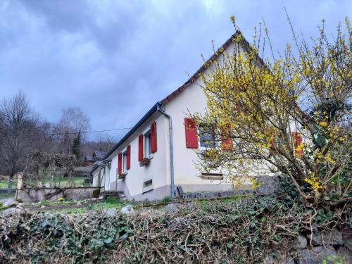 Chez Lydie - Location saisonnière - Fellering