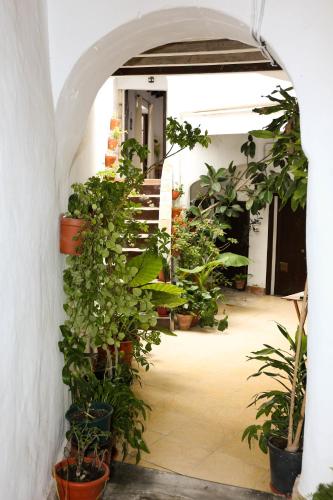 Casa Bodega Triana - image 11
