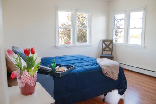 Creation Resorts in Williamstown, USA