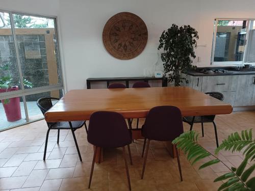 CoLiving in Cuernavaca, Mexico