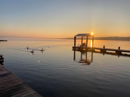 Udsigt, Ferienhaus am See - Natur pur zwischen See und Park in Neukieritzsch