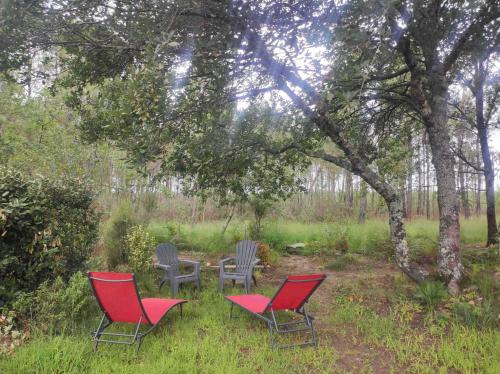 luxueux mobile home dans la forêt des landes - Location saisonnière - Luglon