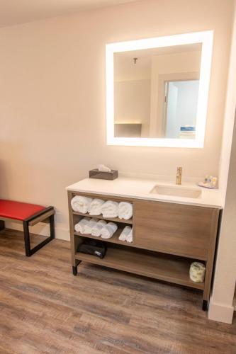 Comfort Inn Battle Mountain - 화장실