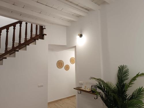 Vestabils, CASA VENERA in Orgaz