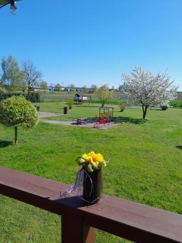 花園, Ferienwohnung Fehse in 卡爾貝/米爾德