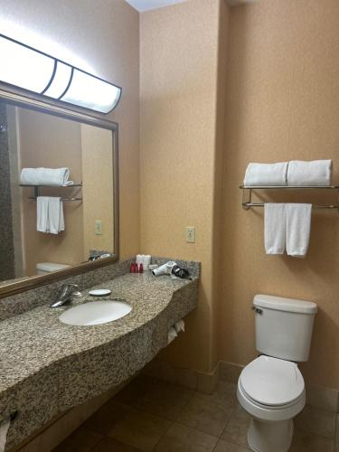 Holiday Inn Express Las Vegas-Nellis by IHG, Las Vegas (photo 10)