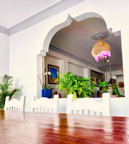 Riad Ghazal - image 7