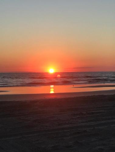 Gone2TheBeach @ Symphony Beach Club in Ormond Beach, USA