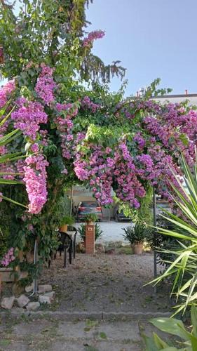 Appartamento La Stazione