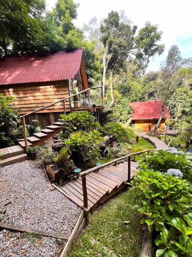 chale Platanus in Vila Natal