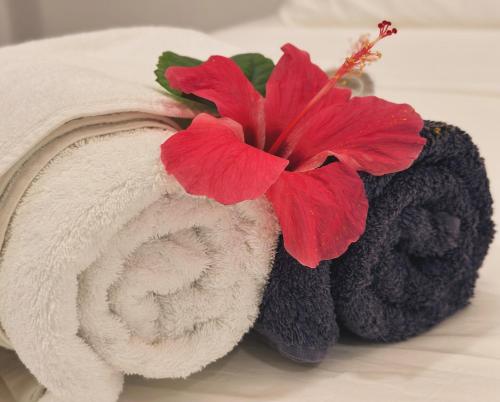 Boli Villa Thoddoo Boli Villa Thoddoo