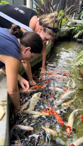 Boli Villa Thoddoo Boli Villa Thoddoo