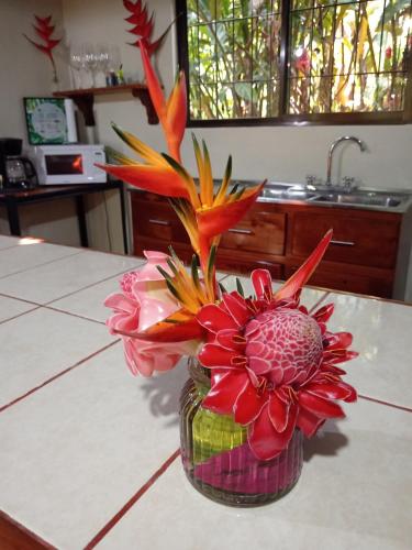 Kitchen, FINCA La PAZ - Sarapiqui in Near Center