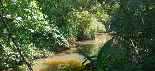 FINCA La PAZ - Sarapiqui