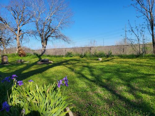 Green Haven Studio near Austin Airport COTA in جلينبروك