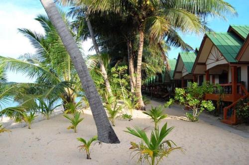 a beach with palm trees and palm trees, Lolita Bungalow in Koh Samui