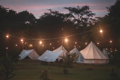 Pitifarmily Cafe & Camping