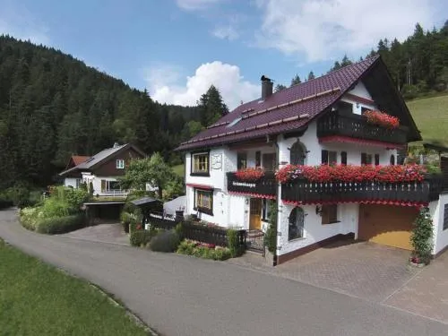 Weissenbach in vakantiehuis Schenk in Härlegrund, Deutschland