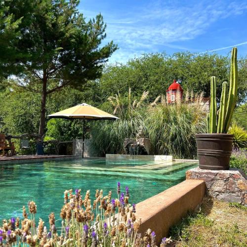 Finca la Devoción Hotel y Aguas Termales X TECAL LIVING (Finca la Devocion Hotel y Aguas Termales X TECAL LIVING) in Atotonilco