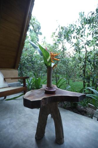 One-Bedroom Villa image 10