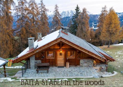 Baita Stabli-Rifugio Luxury a 1700 mt Mezzana